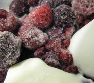 Berries and yogurt in the food processor.
