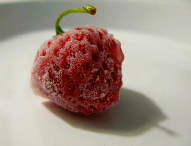 A Quebec strawberry, plucked from the freezer and about to be made into ice cream.